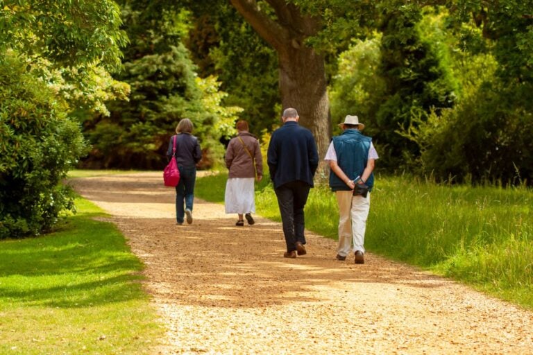 People walking a tree-lined trail