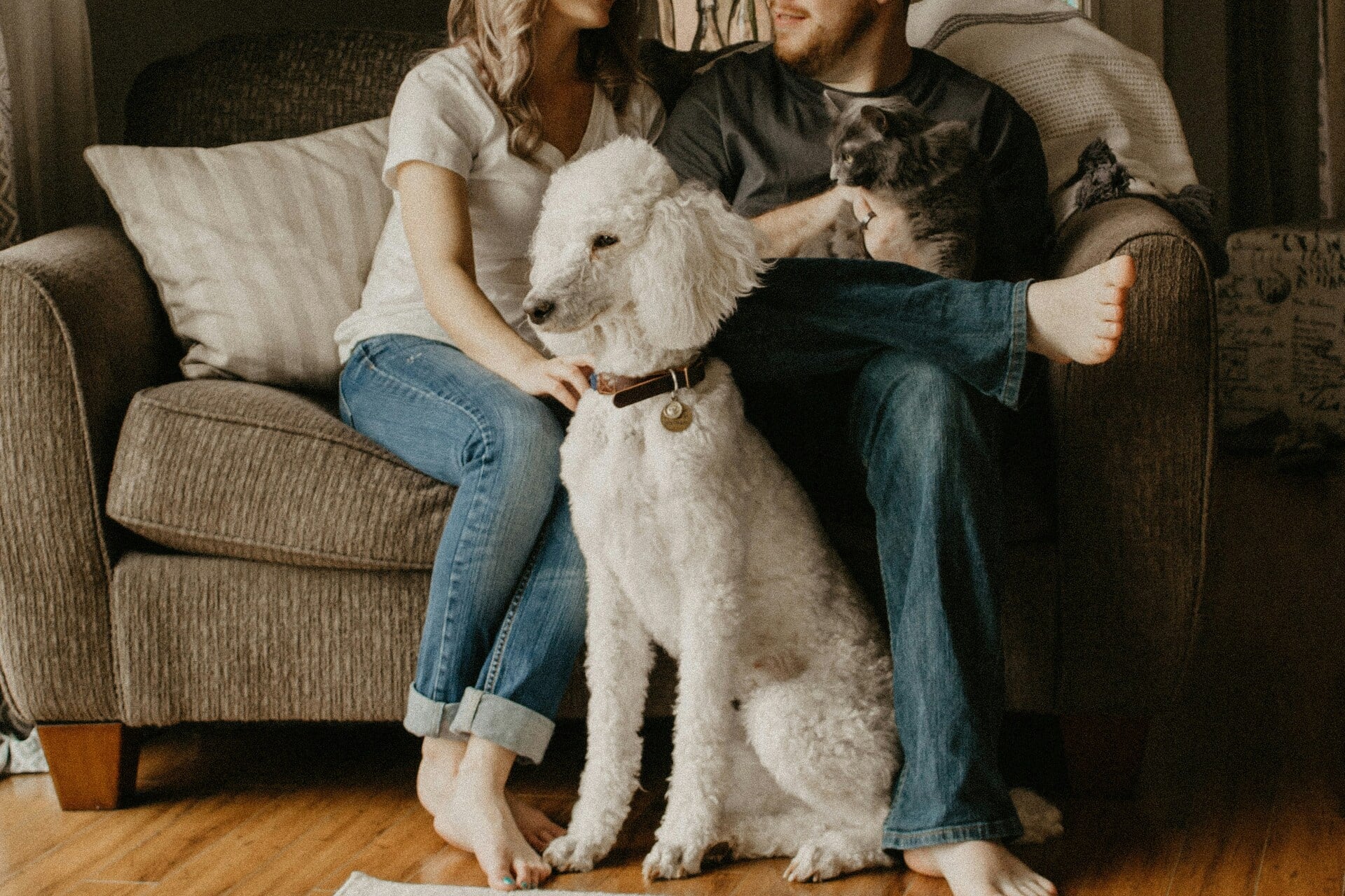 Couple at home with their dog