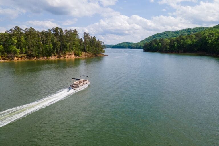 Boat crossing a wooded lake